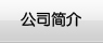 公司简介